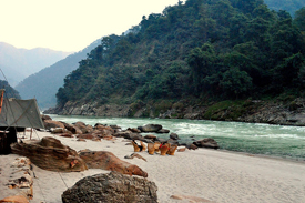 family river rafting in India, himachal river rafting tours, indian river rafting holiday tours, indian white water river rafting tours