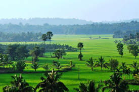 spa and ayurveda in india, delhi ayurveda tour
