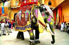 Indian Festival Tour, India Cultural Tour