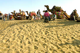 india Culture holiday tour to rajasthan
