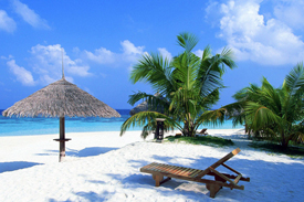 goa india holiday, goa wildlife holidays, goa cultural holiday, goa honeymoon holidays, beach holidays in goa, tour packages for goa india, tours goa, travel goa, vacation in goa, package tour goa, goa beach vacation, holidays in goa