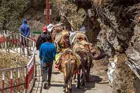 pilgrimage vacations, pilgrimage chardham tours, pilgrimage tour of north india